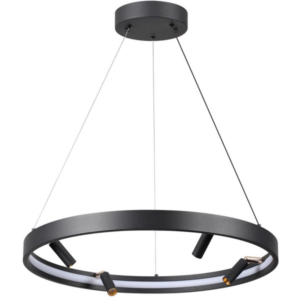 Подвесной светильник светодиодный Odeon Light Fonda 4317/58L кольцо  фото